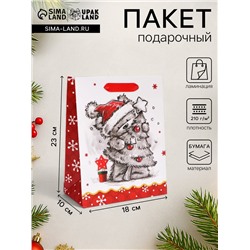 Пакет подарочный новогодний ламинированный «Обнимашки»,18×23×10 см