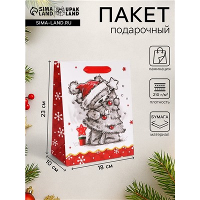 Пакет подарочный новогодний ламинированный «Обнимашки»,18×23×10 см