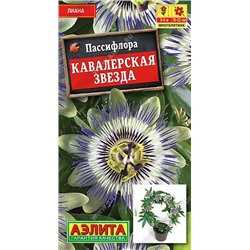 Пассифлора Кавалерская звезда (Аэлита)