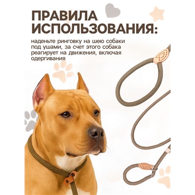 Ринговка для собак, 150×1 см, бежевая