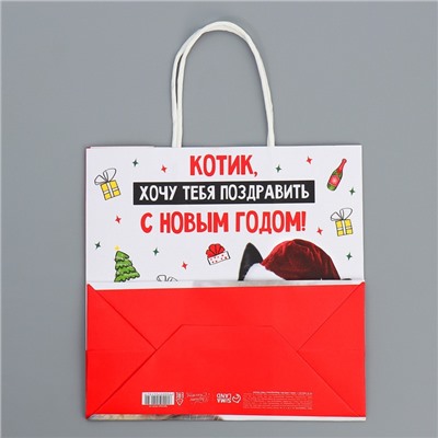 Пакет подарочный новогодний крафтовый «Котик», 22×22×11 см