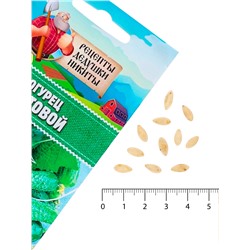 Семена Огурец «Кустовой», 0.5 г, «Рецепты дедушки Никиты»