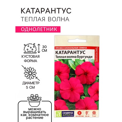 Семена цветов Катарантус "Теплая волна", бургунди, 5 шт