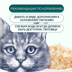 Wanpy Cat Пауч для кошек из курицы и гребешка 85 г
