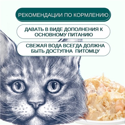 Wanpy Cat Пауч для кошек из курицы и гребешка 85 г