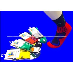 Носки мужские спортивные ЦВЕТНЫЕ арт. 5098