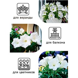 Семена Петуния Афродита F1 белая крупноцветковая, 7 шт