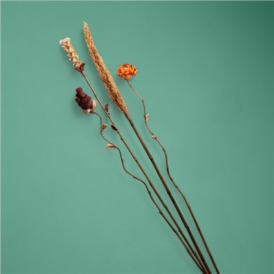 Сухоцвет «Пати», 180 см, натуральный