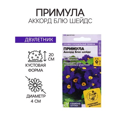 Семена Примула "Аккорд Блю шейдс", ц/п,  5 шт