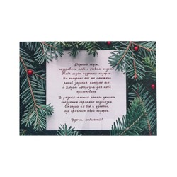 Новогодний квест по поиску подарка «Новый год: Любимому мужу», 12 подсказок, 16+