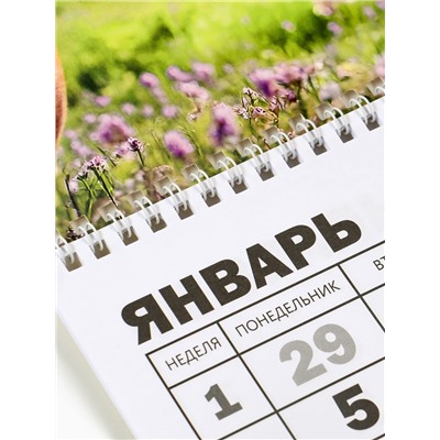 Календарь настенный квартальный 2026 «Лошадь с котенком», 30×46 см