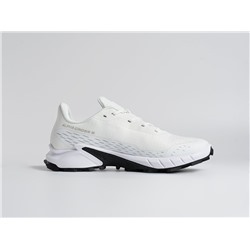 Кроссовки Salomon Alphacross 5 GTX