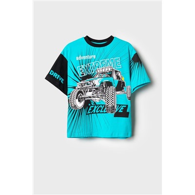 Фуфайка трикотажная для мальчиков (футболка) PLAYTODAY, 1239602