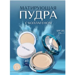 Увлажняющая коллагеновая пудра со сменным блоком, тон 13