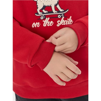 КОМПЛЕКТ ДЛЯ МАЛЬЧИКОВ (ХУДИ, БРЮКИ) 393313