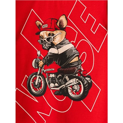 PLAYTODAY Комплект 12612287