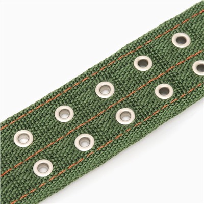 Ошейник четырехслойный, 80×4.9 см, ОШ 65-75 см, полиэстер, зелёный