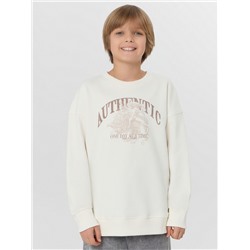 СВИТШОТ ДЛЯ МАЛЬЧИКОВ 123495