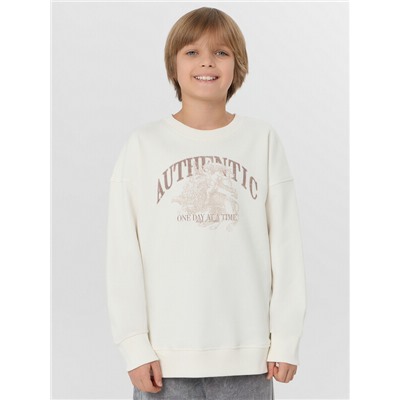 СВИТШОТ ДЛЯ МАЛЬЧИКОВ 123495