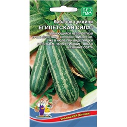 Кабачок Египетская сила  (Код: 93724)