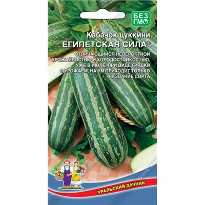 Кабачок Египетская сила  (Код: 93724)