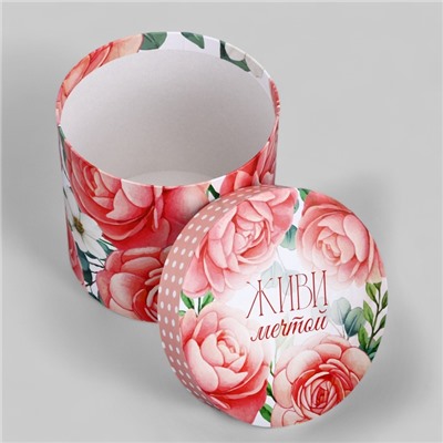 Набор шляпных коробок для цветов 4 в 1, упаковка подарочная, «Нежность», 20×17.5 - 16×14 см