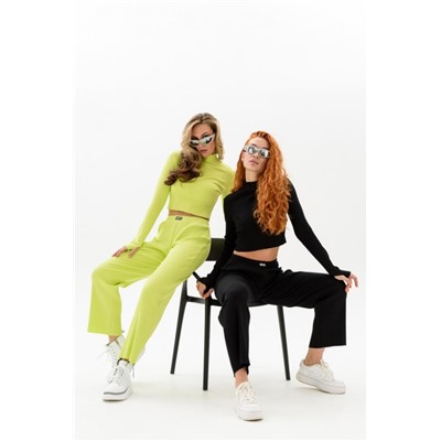 Брюки женские 67101 (Черный)