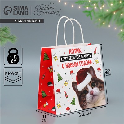 Пакет подарочный новогодний крафтовый «Котик», 22×22×11 см