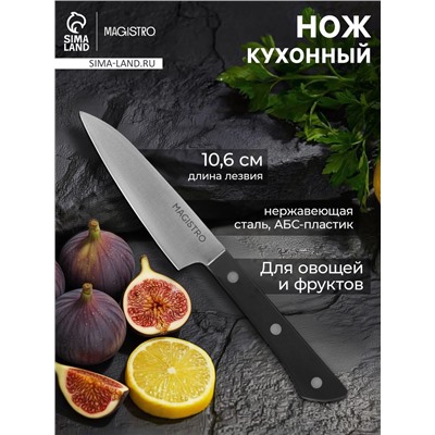 Нож кухонный овощной Magistro Hinshitsu, нержавеющая сталь, лезвие 10.6 см, длина 24 см, чёрный