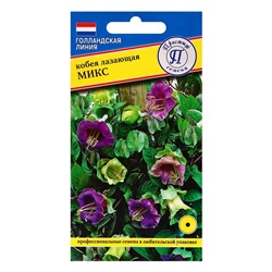Семена цветов Кобея лазающая "Микс", 5 шт