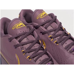 Кроссовки Nike Lebron XXI