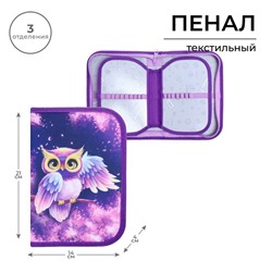 Пенал школьный, 3 секции, 14×21×4 см «Совушка»