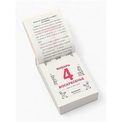 Календарь 2026 отрывной «Кулинарный» 7.7×11.4 см