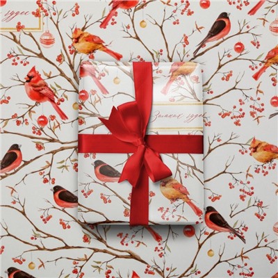 Упаковочная бумага на новый год «Птицы на ветвях», 50×70 см, глянцевая