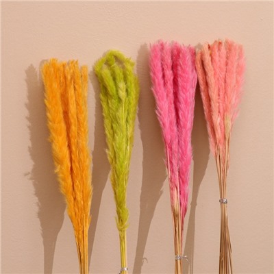 Набор сухоцветов, 80 см, 10 шт., микс