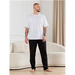 Брюки мужские Тор-3