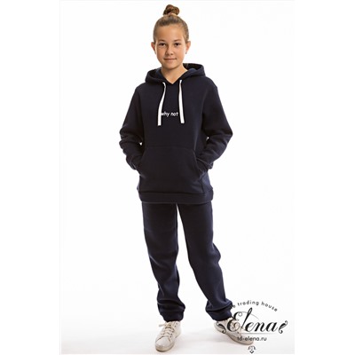 Костюм начес М222055Пв