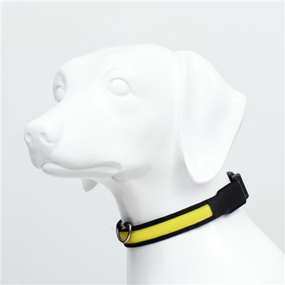 Ошейник с подсветкой Flash 3 режима свечения, размер XL, ОШ 52-60×2.5 см жёлтый