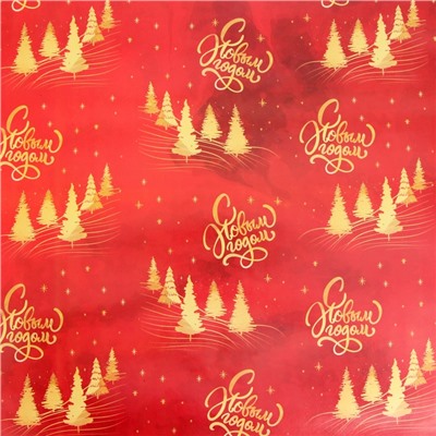 Бумага упаковочная новогодняя «С Новым годом», глянец, двусторонняя, 80 г/м², 50×70 см