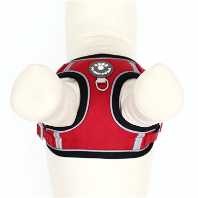 Комплект Sport+, S, поводок 120×1.5 см, ОШ 39-41 см, ОГ 44-48 см, вес животного 7-13 кг, красный