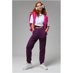 Брюки 8293 (Сливовый)