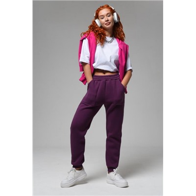 Брюки 8293 (Сливовый)