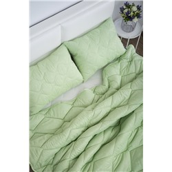 Набор Дачный (одеяло 2,0сп + 2 подушки 50х70см)