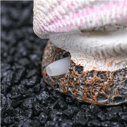 Распылитель «Раковина с жемчужиной», 5×3.5×5 см