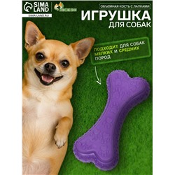 Игрушка жевательная «Объемная кость с лапками», TPR, 12 см, фиолетовая