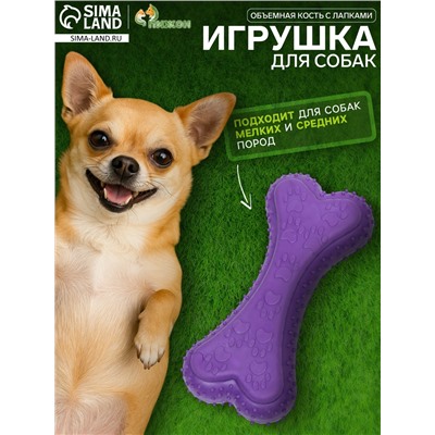 Игрушка жевательная «Объемная кость с лапками», TPR, 12 см, фиолетовая
