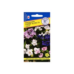 Семена цветов Платикодон «Астра», Смесь, F1, 5 шт., «Престиж семена»