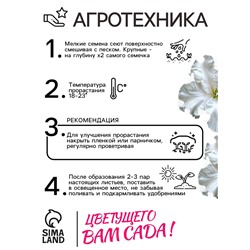 Семена Петуния Афродита F1 белая крупноцветковая, 7 шт