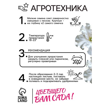 Семена Петуния Афродита F1 белая крупноцветковая, 7 шт