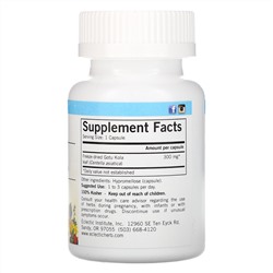 Eclectic Institute, Gotu Kola, 300 mg, 90 Non-GMO Veg Caps